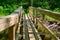 A wooden boardwalk with railings in a wet swampy area. Equipped tourist trail with wooden paths and footbridges. healthy