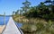 Wooden Boardwalk with sea and woodland behind. Blue skies.Manteo, NC, USA.