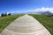 wooden boardwalk staircase hiking trail lead to forest