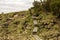 Wooden boardwalk steps on a hiking track to Mastravarden at Mosteroy island