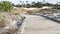 Wooden boardwalk trail, sand dune, California coast. Footpath walkway or footway