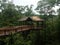 Wooden boardwalk and treehouse in forest or woods