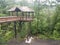 Wooden boardwalk and treehouse in forest or woods