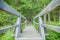 Wooden boardwalk trough the forest leading to the Black Lake, an artificially made lake in Slovenia