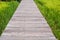 Wooden boardwalk walkway through rice green field tall green grass leading to somewhere nature concept idea recharge energy