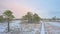 Wooden boardwalk through wetlands with pine trees in winter in the Estonian countryside