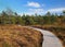 Wooden Boardwalk Winding Through The Black Moor In The Rhoen Mountains Germany On A Beautiful Sunny Autumn Day