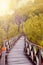 Wooden boardwalWooden boardwalk in tropical swampland heading into a forest of Sarawak