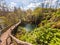 Wooden boardwlak passing waterfalls in natural park.