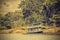 Wooden boat on the Amazon river, Brazil, vintage retro instagram