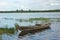 Wooden boat near riverbank