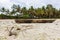 Wooden boat with old anchor on low tide. Zanzibar beach with palm trees and old nautical vessel. Sailing boat on low tide, Africa.