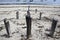 Wooden bollard at the beach