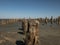 Wooden bollards in the sand against the estuary and blue sky. kuyalnitsky estuary