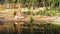 Wooden Bonfire Pyramid Fireplace Reflection on Surface of Water Surface