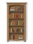 Wooden bookcase with books