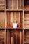 Wooden bookcase and cactus on shelf. Empty furniture