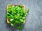 Wooden bowl with corn salad leaves, lamb`s lettuce on gray stone