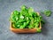 Wooden bowl with corn salad leaves, lamb`s lettuce on gray stone