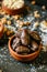 Wooden Bowl Filled With Chocolate Covered Almonds