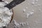 Wooden Bowl of Flour with a Metal Teaspoon