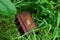 Wooden box in the forest