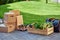 Wooden box with fresh grocery, four paper coffee cups, various packages and boxes with food standing on the street