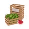 Wooden box full of watermelon isolated vector