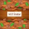 Wooden box with pecan nuts. Vector illustration. Boards wood background, border with walnut fruit and label. For the