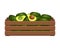 Wooden box with tropical avocados. Healthy food, fruits, agriculture illustration