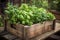 Wooden box with a variety of fresh green culinary herbs growing outdoors in the backyard garden. ai generative