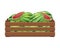 Wooden box with whole and cut watermelons. Healthy food, fruits, agriculture illustration