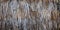 Wooden Brande briar reed gray natural brown grey old wall fence facade wood background horizontal header web