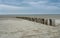 Wooden breakwater along the Dutch coast of Ameland