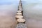 Wooden breakwater covered with moss, arranged in a row at sea, long exposure time, blurred sea waves.