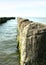 Wooden breakwater in ocean