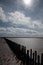 Wooden breakwater in the Wadden Sea