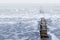 Wooden breakwater and waves, stormy sea weather