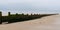 Wooden breakwaters timber on beach sand low tide