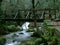 Wooden bridge