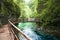 Wooden bridge above mountain river, wild nature landscape. Clean water