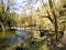 Wooden bridge above Rak creek in Rakov Skocjan