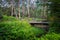 Wooden bridge accross forest stream in Australia