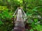 Wooden Bridge, Appalachian Trail Green Mountains, Vermont