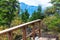 Wooden bridge and awesome landscape views of alpine trees and mountains