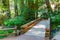 Wooden bridge boardwalk over a creek at a Redwoods forest at Muir Woods National Monument, Mill Valley, California