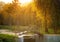 Wooden bridge in botanical autumn park in sunset light