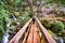 Wooden bridge on Cataract trail in Mt Tamalpais Watershed, Marin County, north San Francisco bay area, California