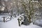 Wooden bridge covered with snow