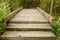 Wooden bridge cross little canal in mangrove forest